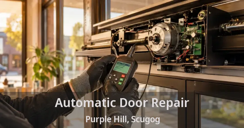 Automatic Door Repair Purple Hill, Scugog - ON