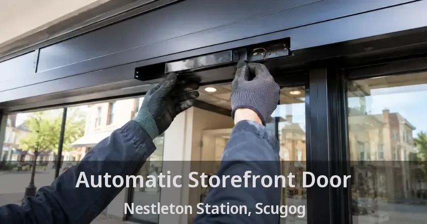 Automatic Storefront Door Nestleton Station, Scugog - ON