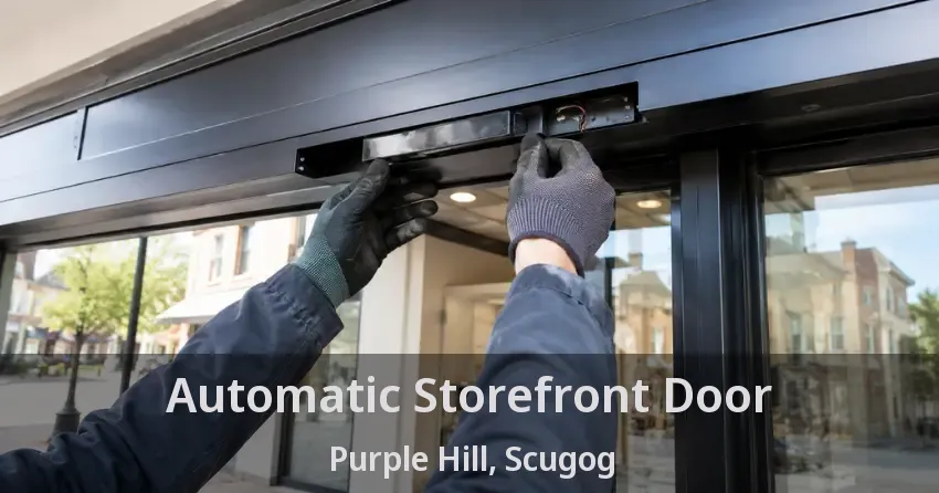 Automatic Storefront Door Purple Hill, Scugog - ON