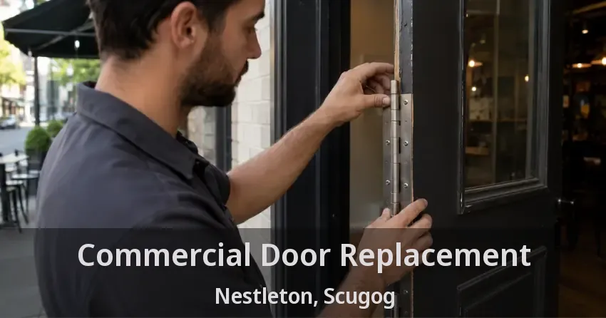 Commercial Door Replacement Nestleton, Scugog - ON