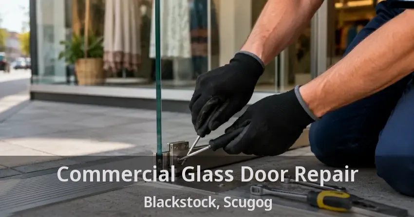Commercial Glass Door Repair Blackstock, Scugog - ON