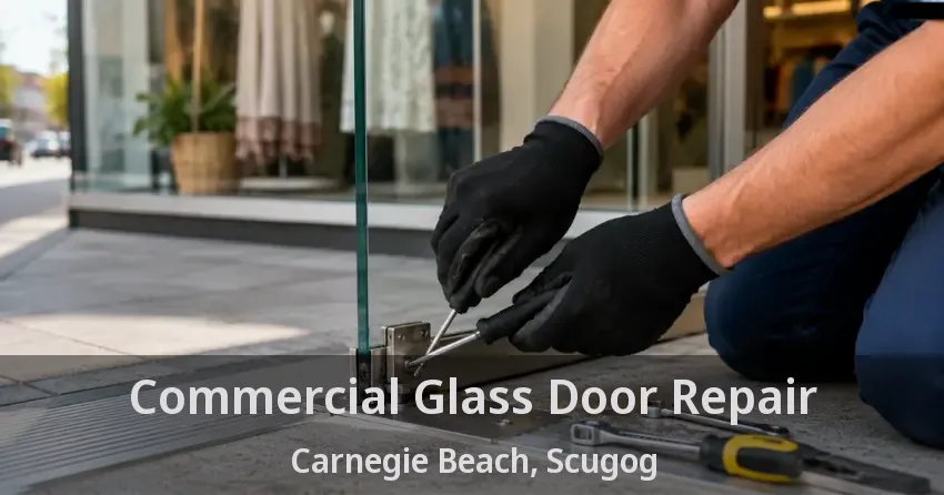 Commercial Glass Door Repair Carnegie Beach, Scugog - ON