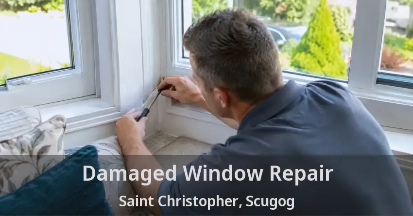 Damaged Window Repair Saint Christopher, Scugog - ON