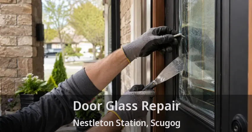Door Glass Repair Nestleton Station, Scugog - ON