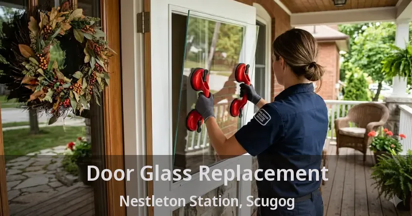 Door Glass Replacement Nestleton Station, Scugog - ON