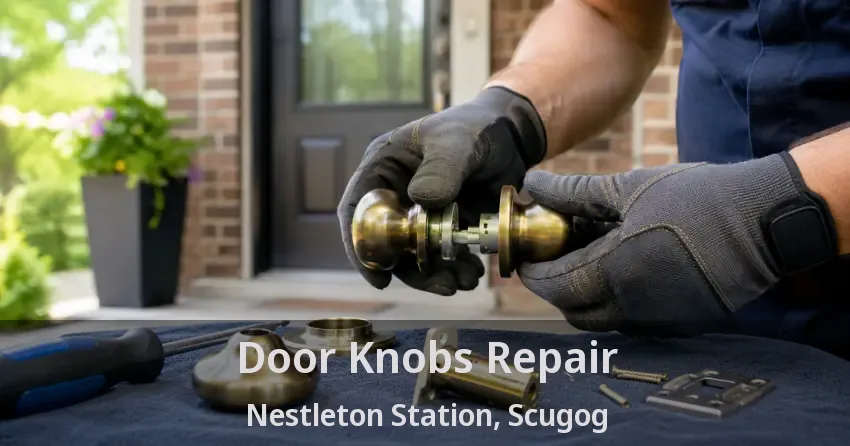 Door Knobs Repair Nestleton Station, Scugog - ON