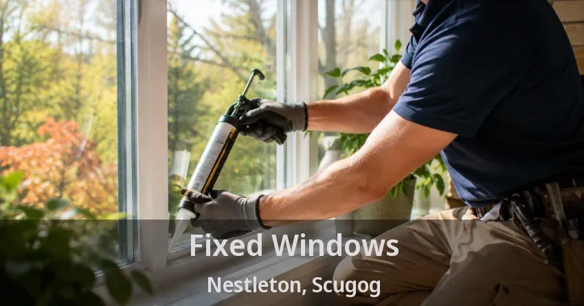 Fixed Windows Nestleton, Scugog - ON
