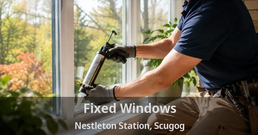 Fixed Windows Nestleton Station, Scugog - ON