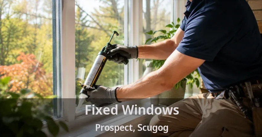 Fixed Windows Prospect, Scugog - ON