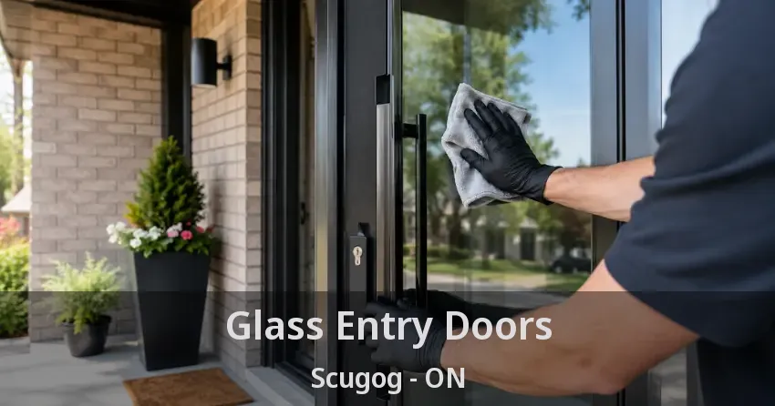 Glass Entry Doors Scugog - ON