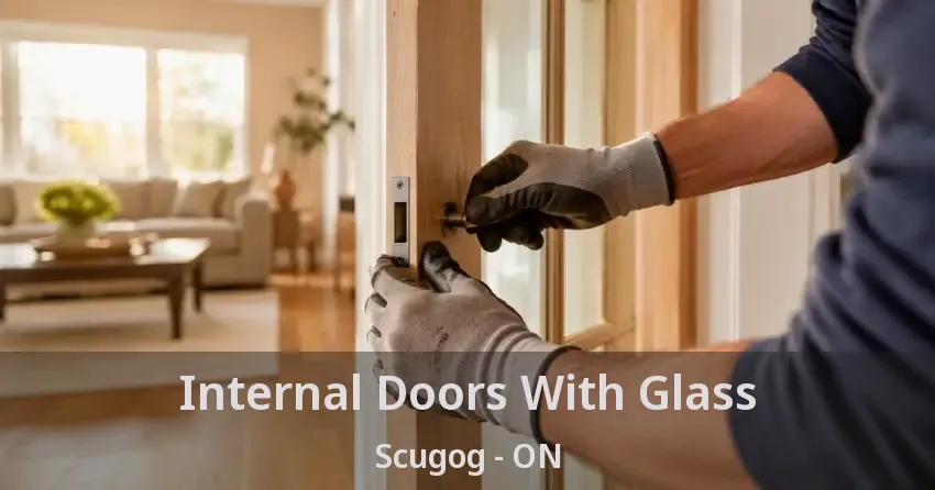 Internal Doors With Glass Scugog - ON