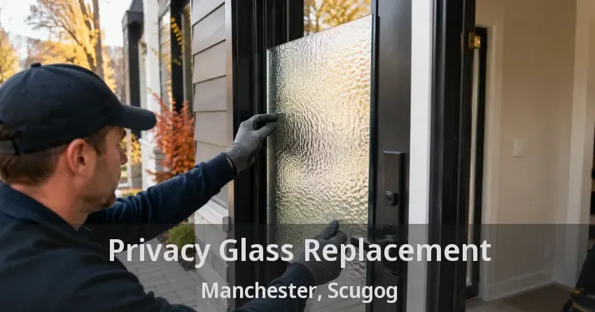 Privacy Glass Replacement Manchester, Scugog - ON