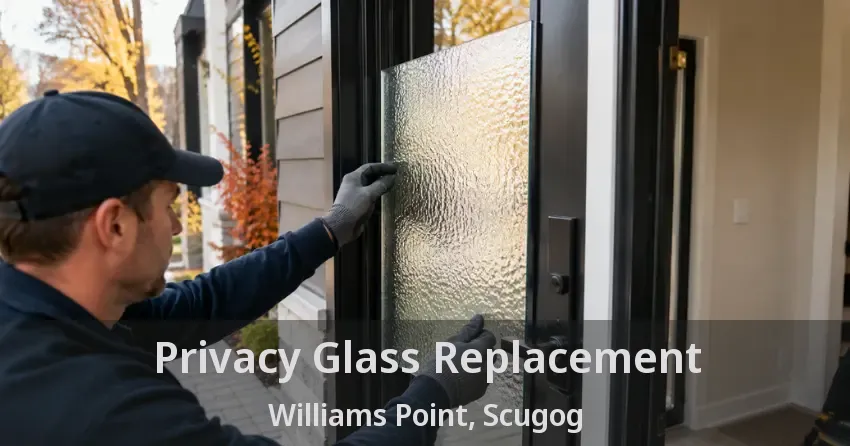 Privacy Glass Replacement Williams Point, Scugog - ON