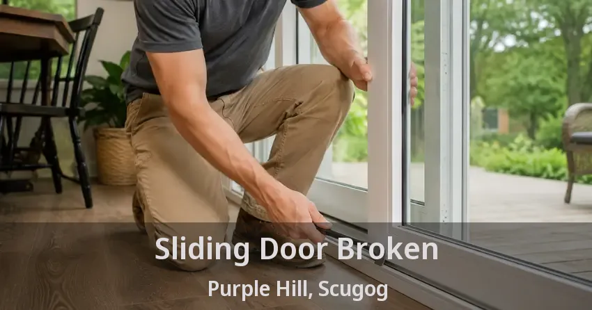 Sliding Door Broken Purple Hill, Scugog - ON