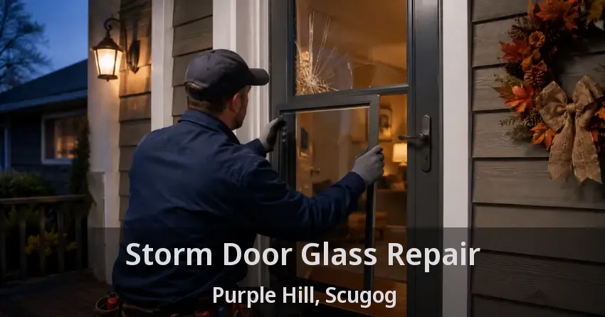 Storm Door Glass Repair Purple Hill, Scugog - ON