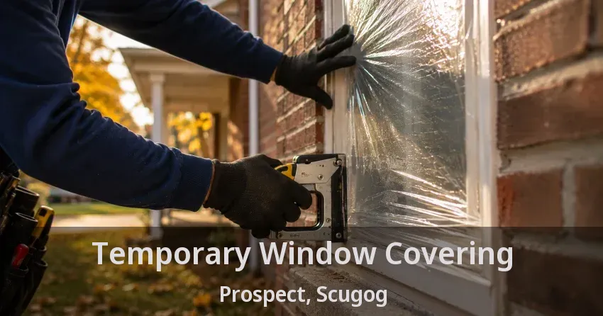 Temporary Window Covering Prospect, Scugog - ON