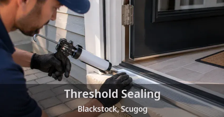 Threshold Sealing Blackstock, Scugog - ON