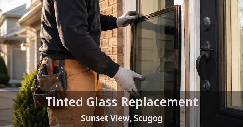 Tinted Glass Replacement Sunset View, Scugog - ON