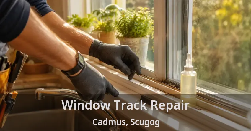 Window Track Repair Cadmus, Scugog - ON