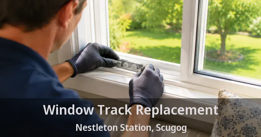 Window Track Replacement Nestleton Station, Scugog - ON